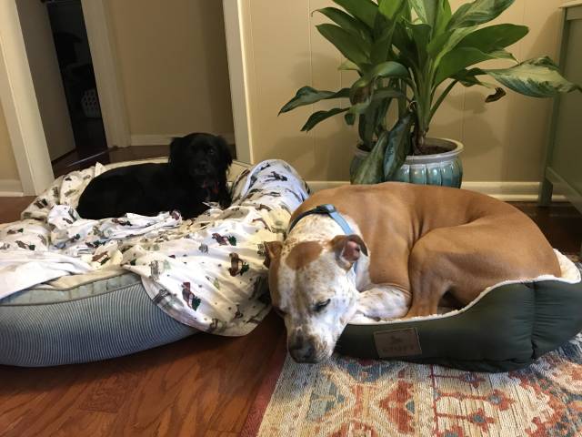 morning picdump 50 pics 18.html - 50 HD Photos | Premium Gallery 2018