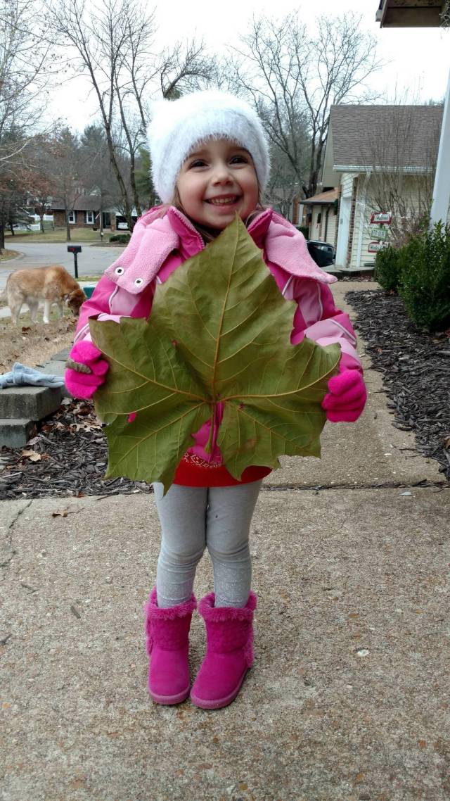 morning picdump 50 pics 18.html - 50 HD Photos | Premium Gallery 2018