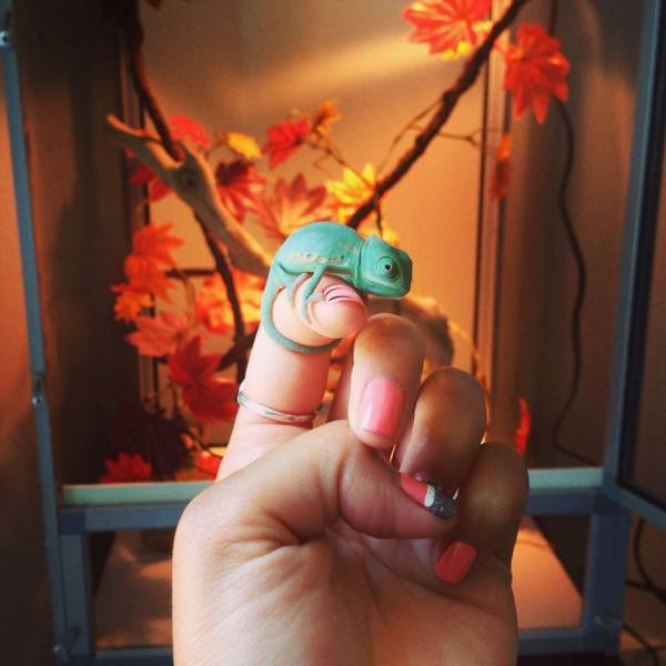 daily picdump 94 pics 15.html - 94 HD Photos | Premium Gallery 2018