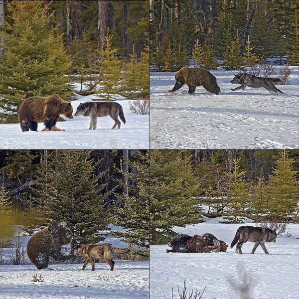 daily picdump 94 pics 15.html - 94 HD Photos | Premium Gallery 2018