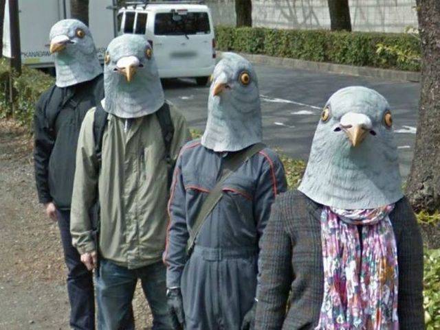 daily picdump 94 pics 15.html - 94 HD Photos | Premium Gallery 2018