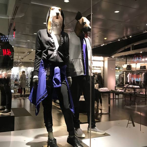 daily picdump 94 pics 15.html - 94 HD Photos | Premium Gallery 2018