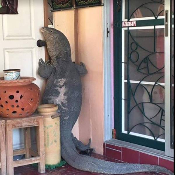 daily picdump 94 pics 15.html - 94 HD Photos | Premium Gallery 2018