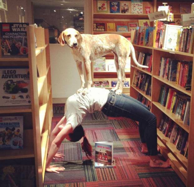 daily picdump 94 pics 15.html - 94 HD Photos | Premium Gallery 2018