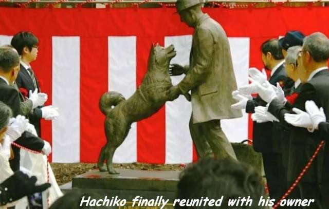 daily picdump 94 pics 15.html - 94 HD Photos | Premium Gallery 2018