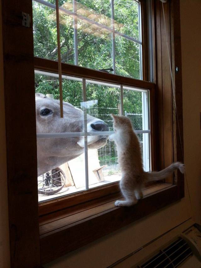 daily picdump 94 pics 15.html - 94 HD Photos | Premium Gallery 2018