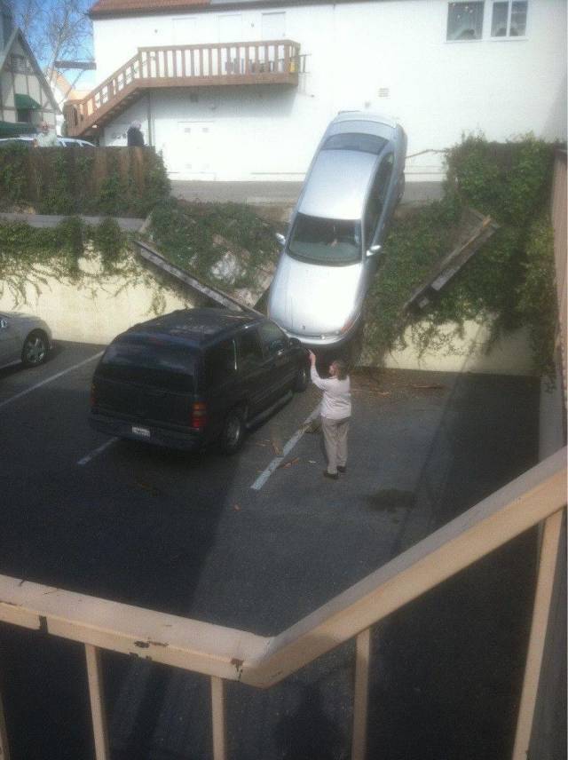 daily picdump 94 pics 15.html - 94 HD Photos | Premium Gallery 2018