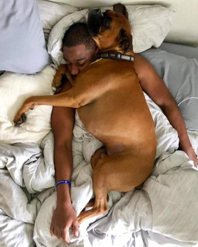 daily picdump 94 pics 15.html - 94 HD Photos | Premium Gallery 2018