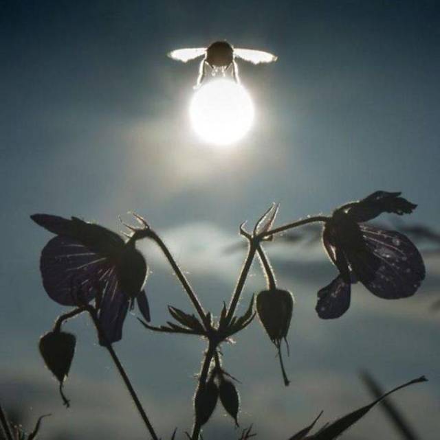 daily picdump 94 pics 15.html - 94 HD Photos | Premium Gallery 2018