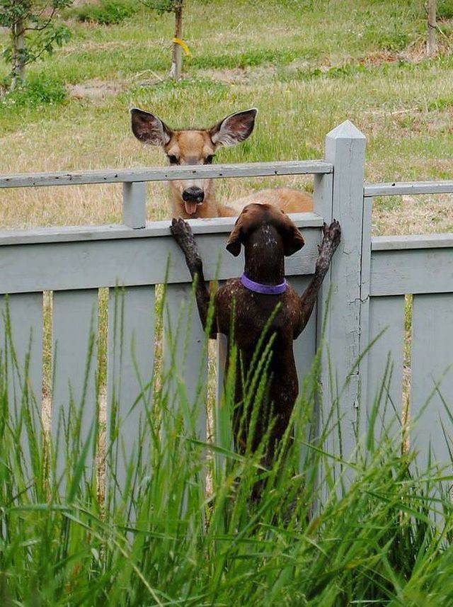 daily picdump 94 pics 15.html - 94 HD Photos | Premium Gallery 2018