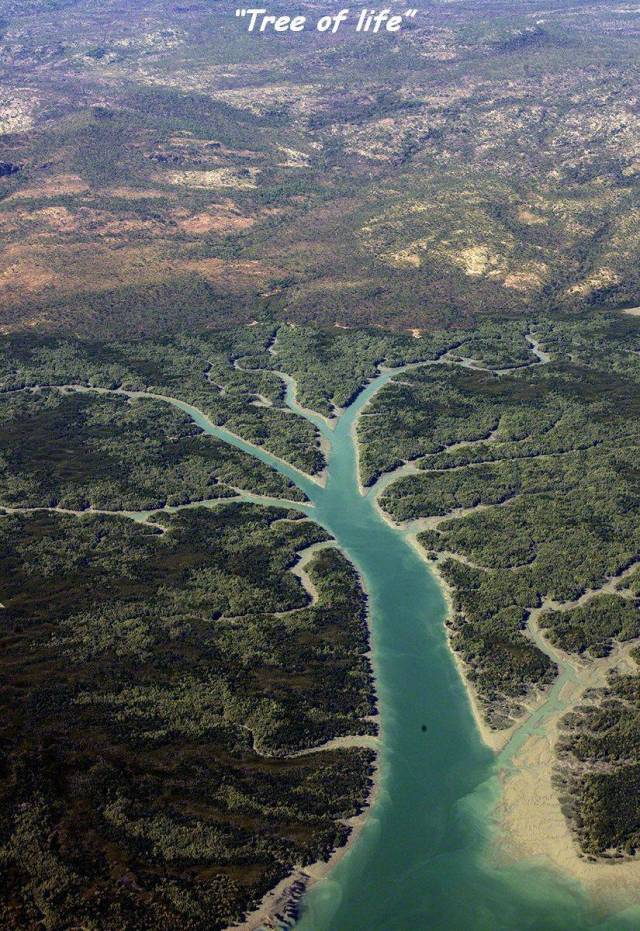 daily picdump 94 pics 15.html - 94 HD Photos | Premium Gallery 2018