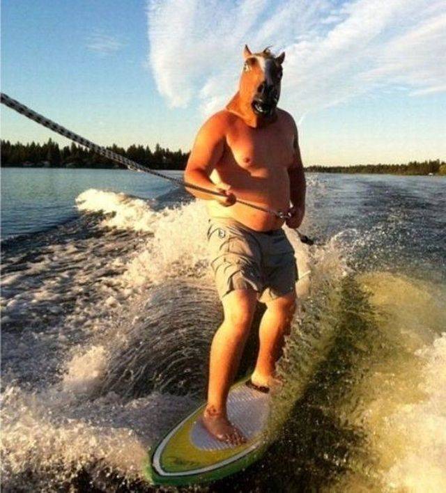 daily picdump 94 pics 15.html - 94 HD Photos | Premium Gallery 2018