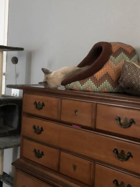 morning picdump 53 pics 15.html - 53 HD Photos | Premium Gallery 2018