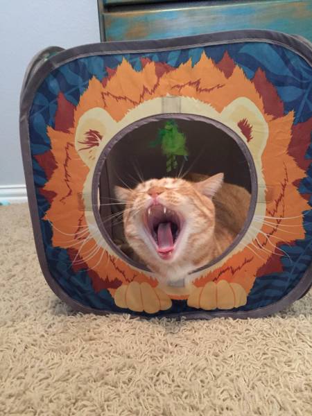 morning picdump 53 pics 15.html - 53 HD Photos | Premium Gallery 2018