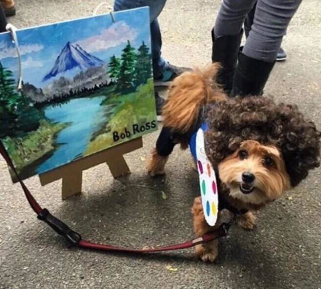 morning picdump 53 pics 15.html - 53 HD Photos | Premium Gallery 2018