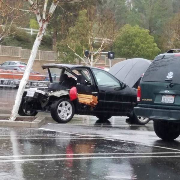 daily picdump 92 pics 8.html - 92 HD Photos | Premium Gallery 2018