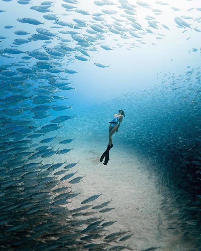 daily picdump 92 pics 8.html - 92 HD Photos | Premium Gallery 2018