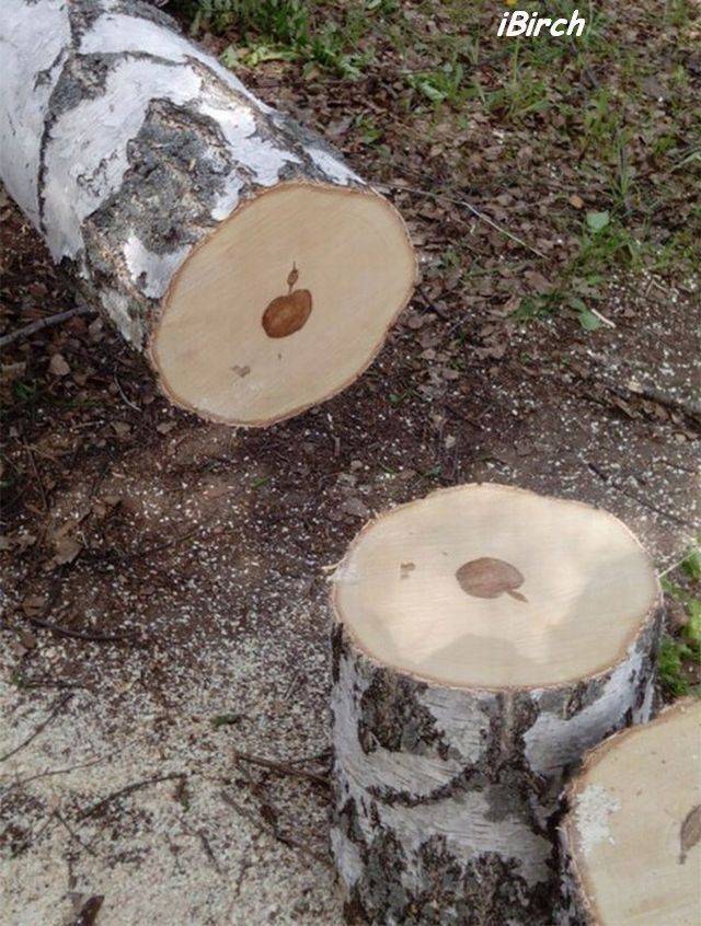 daily picdump 92 pics 8.html - 92 HD Photos | Premium Gallery 2018