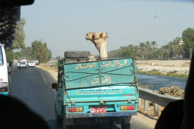 morning picdump 50 pics 17.html - 50 HD Photos | Premium Gallery 2018