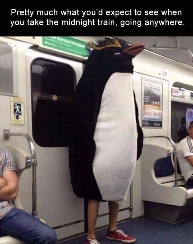 morning picdump 50 pics 17.html - 50 HD Photos | Premium Gallery 2018