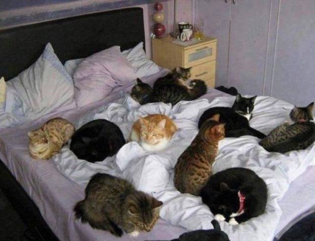 daily picdump 98 pics 31.html - 98 HD Photos | Premium Gallery 2018