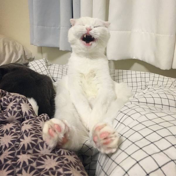 daily picdump 98 pics 31.html - 98 HD Photos | Premium Gallery 2018