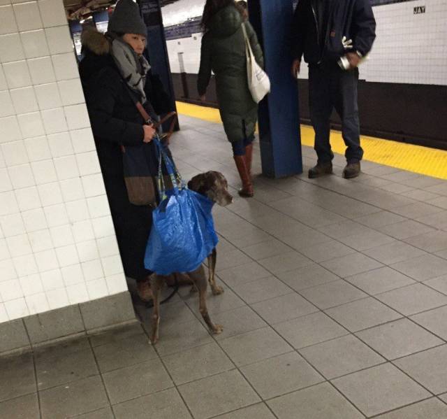 daily picdump 98 pics 31.html - 98 HD Photos | Premium Gallery 2018