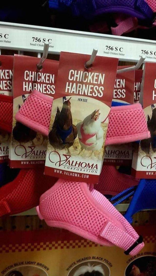 Daily Picdump