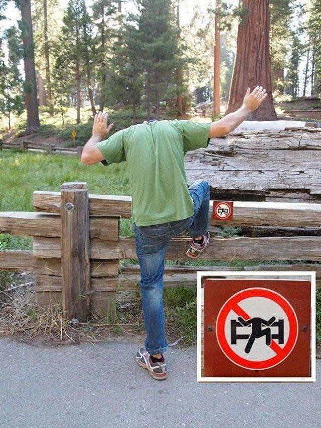 daily picdump 98 pics 31.html - 98 HD Photos | Premium Gallery 2018