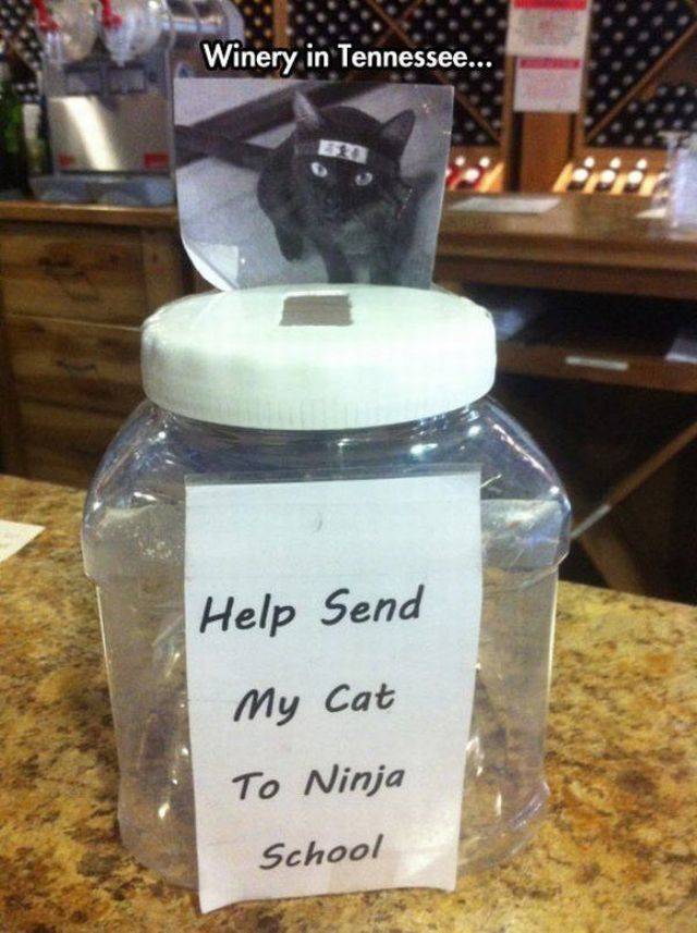 daily picdump 98 pics 31.html - 98 HD Photos | Premium Gallery 2018
