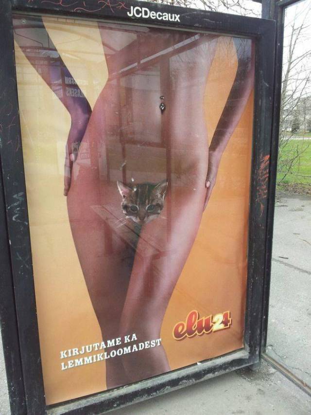 grownup corner 65 pics 21.html - 65 HD Photos | Premium Gallery 2018