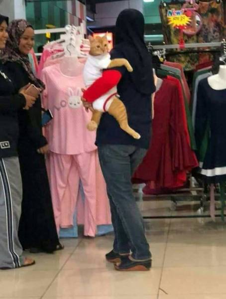 morning picdump 51 pics 8.html - 51 HD Photos | Premium Gallery 2018