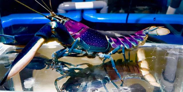 morning picdump 51 pics 8.html - 51 HD Photos | Premium Gallery 2018