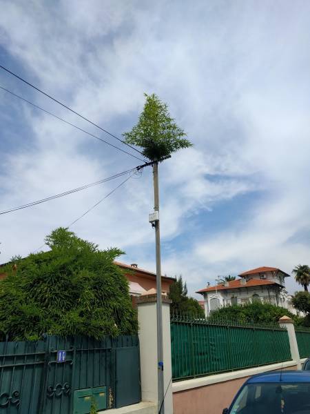 morning picdump 51 pics 8.html - 51 HD Photos | Premium Gallery 2018