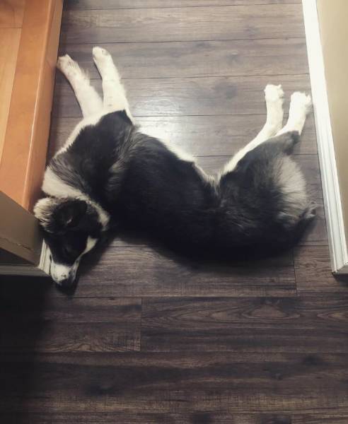 morning picdump 51 pics 8.html - 51 HD Photos | Premium Gallery 2018