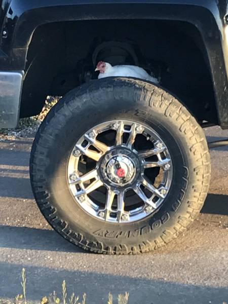 morning picdump 51 pics 8.html - 51 HD Photos | Premium Gallery 2018