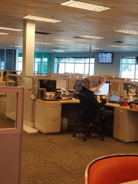 morning picdump 51 pics 8.html - 51 HD Photos | Premium Gallery 2018