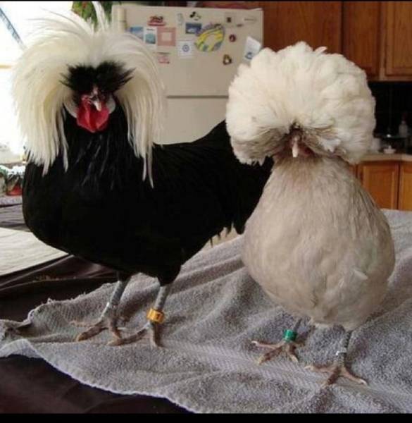 morning picdump 51 pics 8.html - 51 HD Photos | Premium Gallery 2018