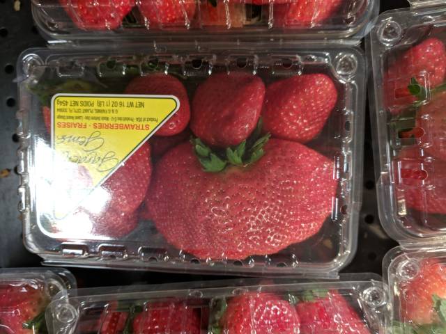 Daily Picdump [WEEKEND EDITION]