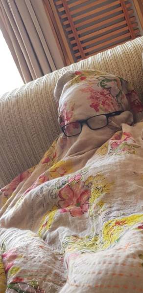 daily picdump weekend edition 51 pics 5.html - 51 HD Photos | Premium Gallery 2018