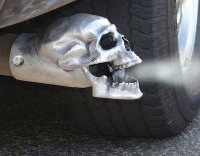 daily picdump weekend edition 51 pics 5.html - 51 HD Photos | Premium Gallery 2018