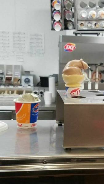 daily picdump weekend edition 51 pics 5.html - 51 HD Photos | Premium Gallery 2018