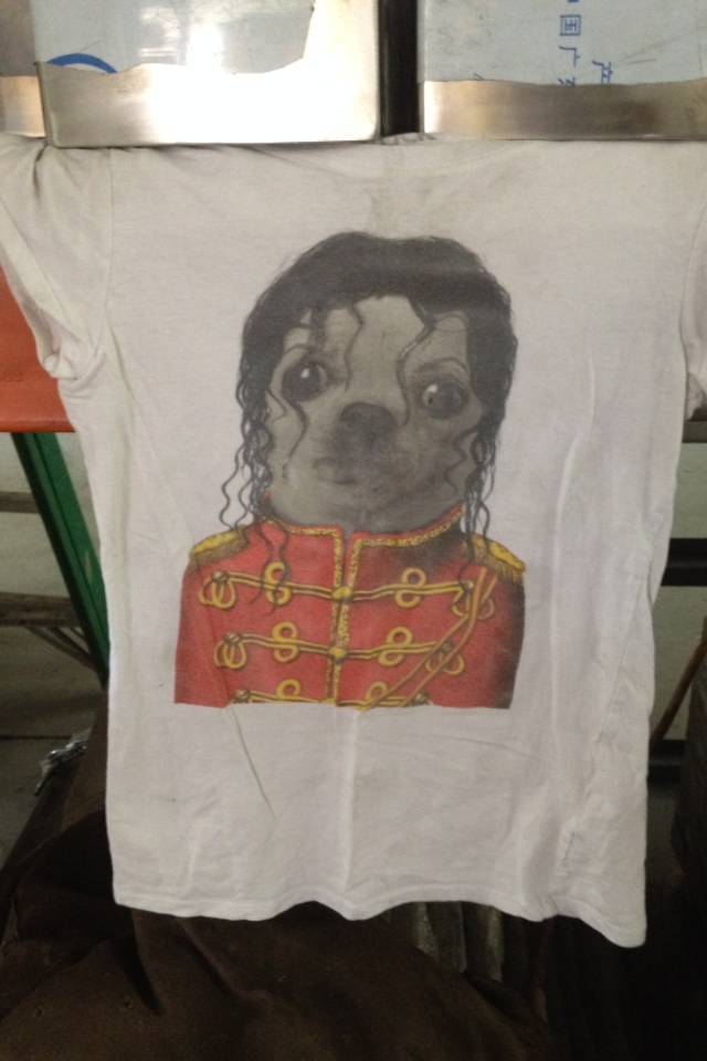 daily picdump weekend edition 51 pics 5.html - 51 HD Photos | Premium Gallery 2018