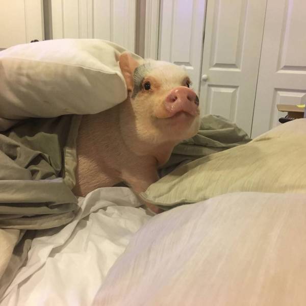 daily picdump 100 pics 4.html - 100 HD Photos | Premium Gallery 2018