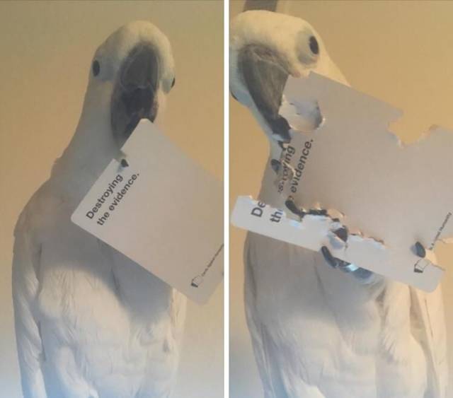 daily picdump 100 pics 4.html - 100 HD Photos | Premium Gallery 2018