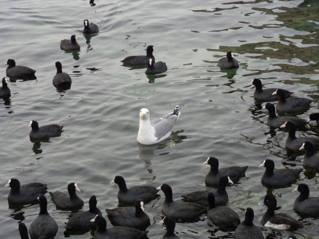 daily picdump 100 pics 4.html - 100 HD Photos | Premium Gallery 2018