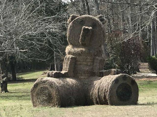 daily picdump 100 pics 4.html - 100 HD Photos | Premium Gallery 2018