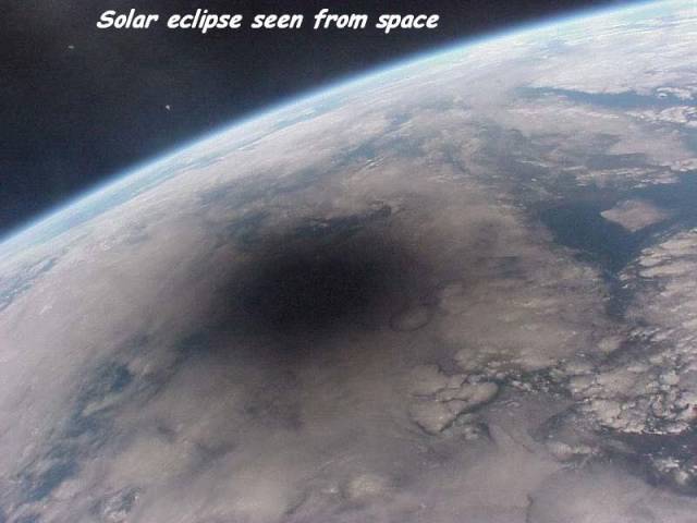 daily picdump 100 pics 4.html - 100 HD Photos | Premium Gallery 2018