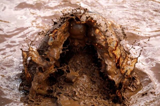 daily picdump 100 pics 4.html - 100 HD Photos | Premium Gallery 2018