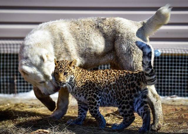 daily picdump 100 pics 4.html - 100 HD Photos | Premium Gallery 2018